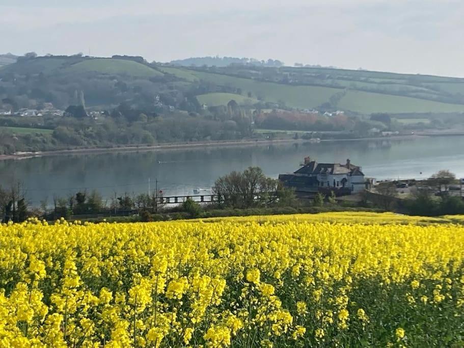 Charming Countryside Cottage Ground Floor Apartment In Combeinteignhead Devon Bishopsteignton Eksteriør billede