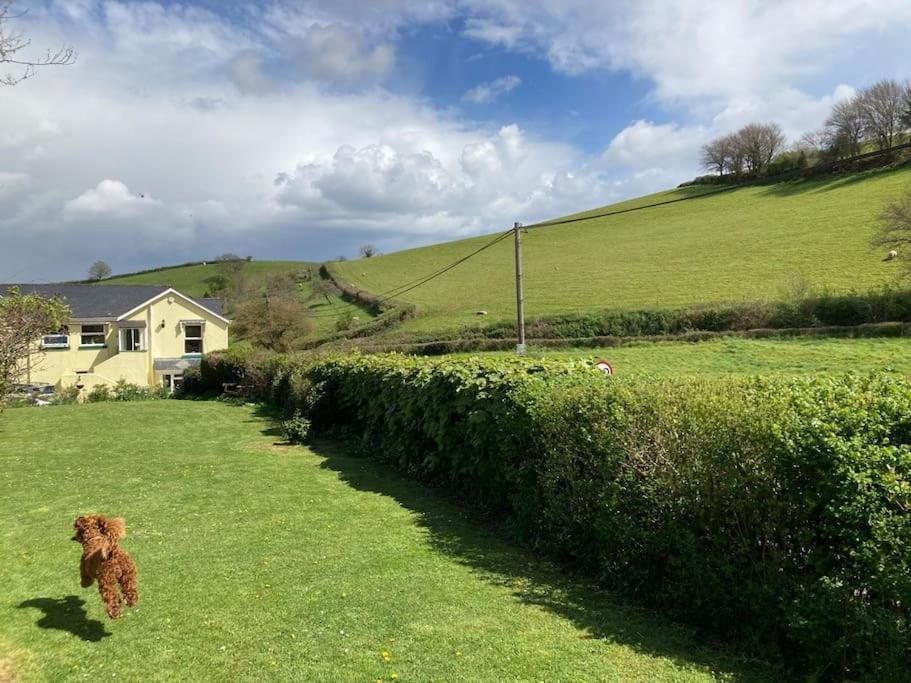 Charming Countryside Cottage Ground Floor Apartment In Combeinteignhead Devon Bishopsteignton Eksteriør billede